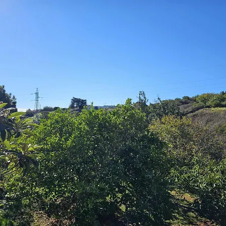 Chalé Rincon Del Bosque. Preciosa Casa Disfrutar De La Paz Del Bosque La Esperanza (Tenerife)